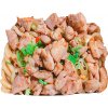 Japanse udon noodle met kip
